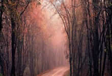 [球之夜]伊万：上任一周年的时刻.