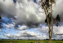 亚冬会丨高亭宇收获个人第二金 中国队选手包揽速滑女子3000米前三2025-02-10.