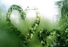 郑钦文搭档乔科维奇参加网球表演赛 基里奥斯退出.